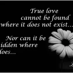 True love cannot be found where it does not exist. Nor can it be hidden...