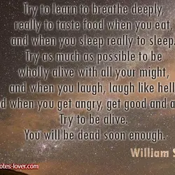 Try to learn to breathe deeply, really to taste food when you eat, and when...