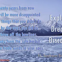 Twenty years from now you will be more disappointed by the things that you didn't...