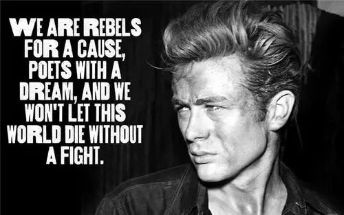 We are rebels for a cause, poets with a dream, and we won't let this world die without a fight