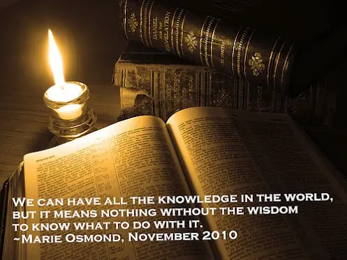 We can have all the knowledge in the world, but it means nothing without the wisdom to know what to do with it 