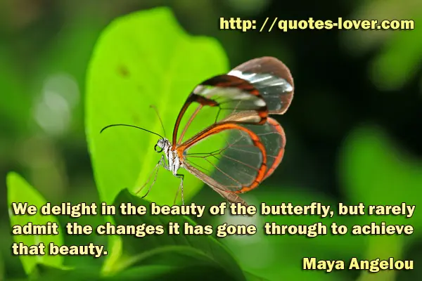 We delight in the beauty of the butterfly, but rarely admit the changes it has gone through to achieve that beauty.