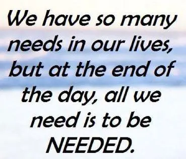 We have so many needs in our lives, but at the end of the day, all we need is to be needed