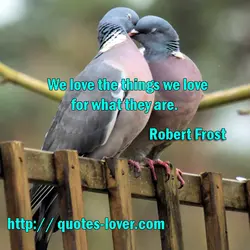 We love the things we love for what they are.