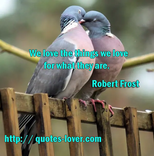 We love the things we love for what they are.