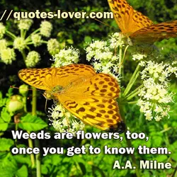 Weeds are flowers, too, once you get to know them.