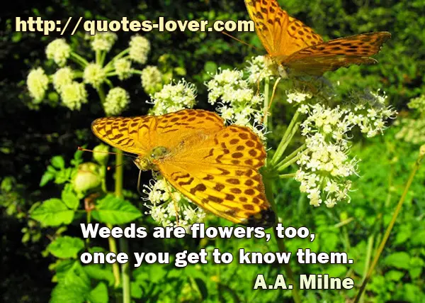 Weeds are flowers, too, once you get to know them.