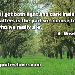 We've all got both light and dark inside us. What matters is the part we...