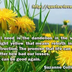 What I need is the dandelion in the spring. The bright yellow that means rebirth...
