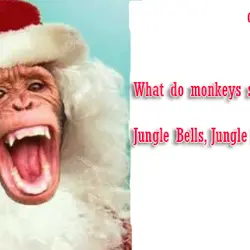 What do monkeys sing at Christmas ? Jungle Bells, Jungle bells !