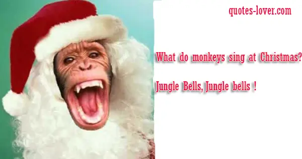 What do monkeys sing at Christmas ?  Jungle Bells, Jungle bells !