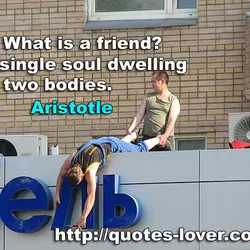 What is a friend? A single soul dwelling in two bodies.