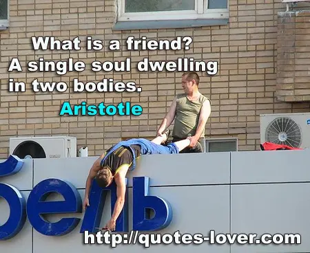 What is a friend? A single soul dwelling in two bodies. 