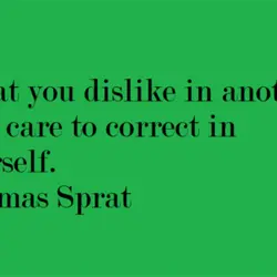 What you dislike in another take care to correct in yourself.