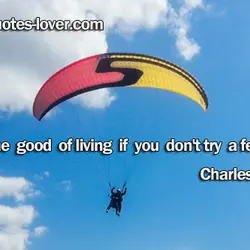 What's the good of living if you don't try a few things?