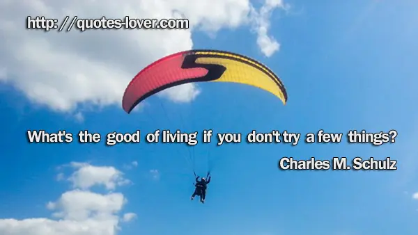 What's the good of living if you don't try a few things?