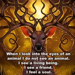 When I look into the eyes of an animal I do not see an animal...
