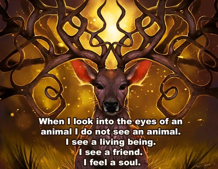 When I look into the eyes of an animal I do not see an animal I see a living being. I see a friend. I feel a soul.