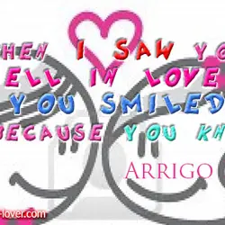 When I saw you I fell in love and you smiled because you knew