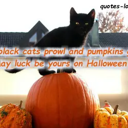 When black cats prowl and pumpkins gleam, May luck be yours on Halloween.
