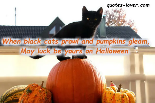 When black cats prowl and pumpkins gleam, May luck be yours on Halloween.
