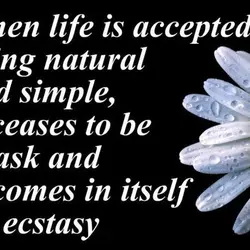 When life is accepted as being natural and simple, it ceases to be a task...