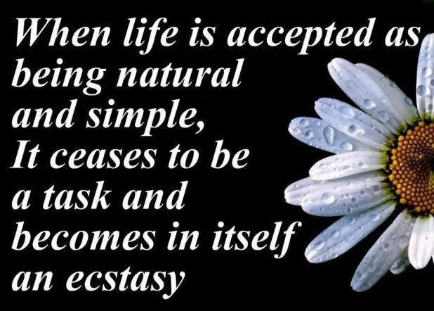 When life is accepted as being natural and simple, it ceases to be a task and becomes in itself an ecstasy.