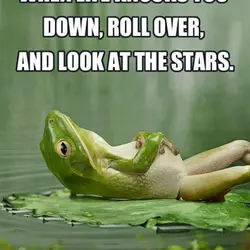 When life knocks you down, roll over, and look at the stars.