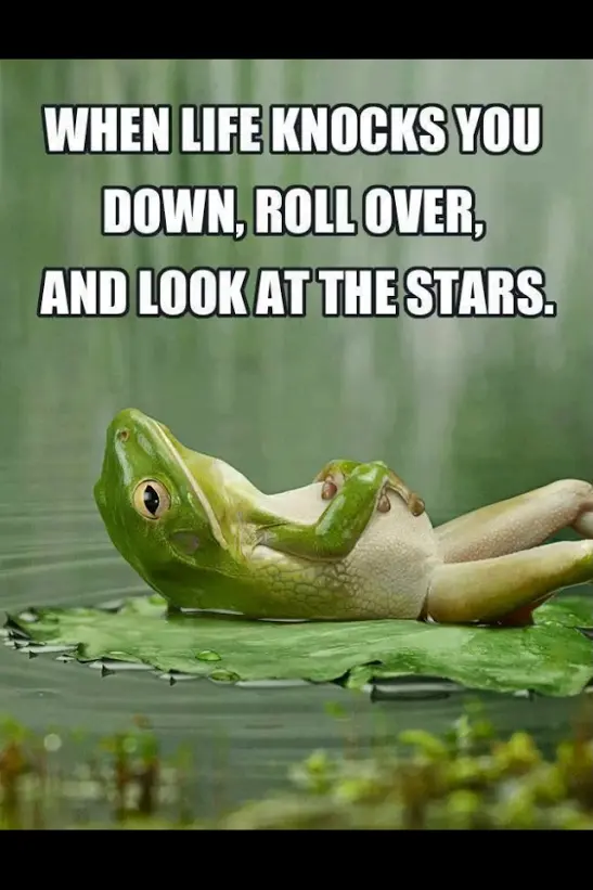 When life knocks you down, roll over, and look at the stars.