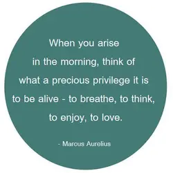 When you arise in the morning think of what a precious privilege it is to...