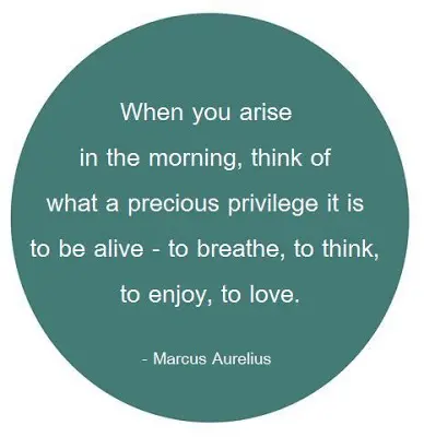 When you arise in the morning think of what a precious privilege it is to be alive-to breathe, to think, to enjoy,to love