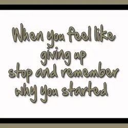 When you feel like giving up stop and remember why you started
