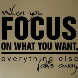 When you focus on what you want, everything else falls away.