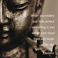 When you realize just how perfect everything is, you will tilt your head and laugh...
