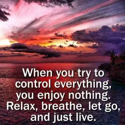 When you try to control everything, you enjoy nothing. Relax, breathe, let go, and just...