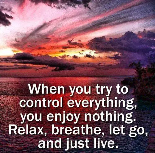 When you try to control everything, you enjoy nothing. Relax, breathe, let go, and just live.