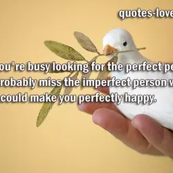 While you're busy looking for the perfect person, you'll probably miss the imperfect person who...