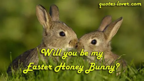 Will you be my Easter Honey Bunny?