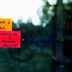 Without a doubt, you're all I dream about.