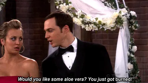 Would you like some aloe vera? You just got burned!