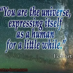 You are the universe, expressing itself as a human for a little while.