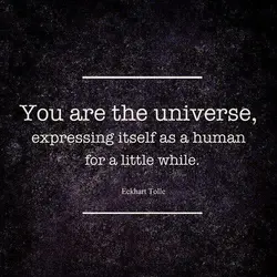 You are the universe expressing itself as a human for a little while