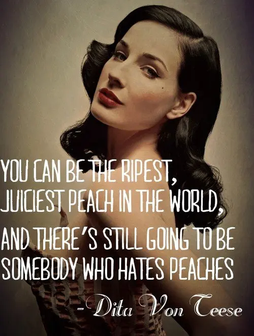 You can be the ripest, juiciest peach in the world, and there's still going to be somebody who hates peaches.