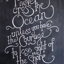 You can never cross the ocean unless you have the courage to lose sight of...