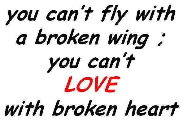 You can't fly with a broken wing, you can't love with broken heart.
