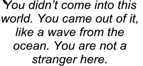 You didn't come into this world. You came out of it like a wave from the ocean.You are not a stranger here