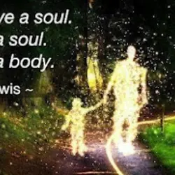 You don't have a soul. You are a soul. You have a body.