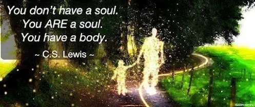 You don't have a soul. You are a soul. You have a body.