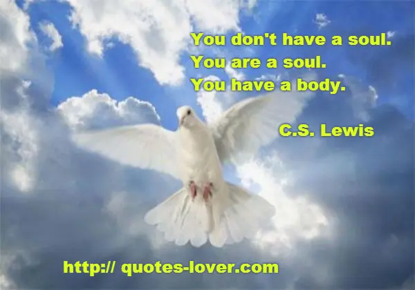 You don't have a soul.You are a soul.You have a body.