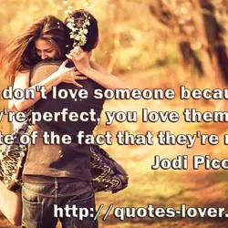 You don't love someone because they're perfect, you love them in spite of the fact...